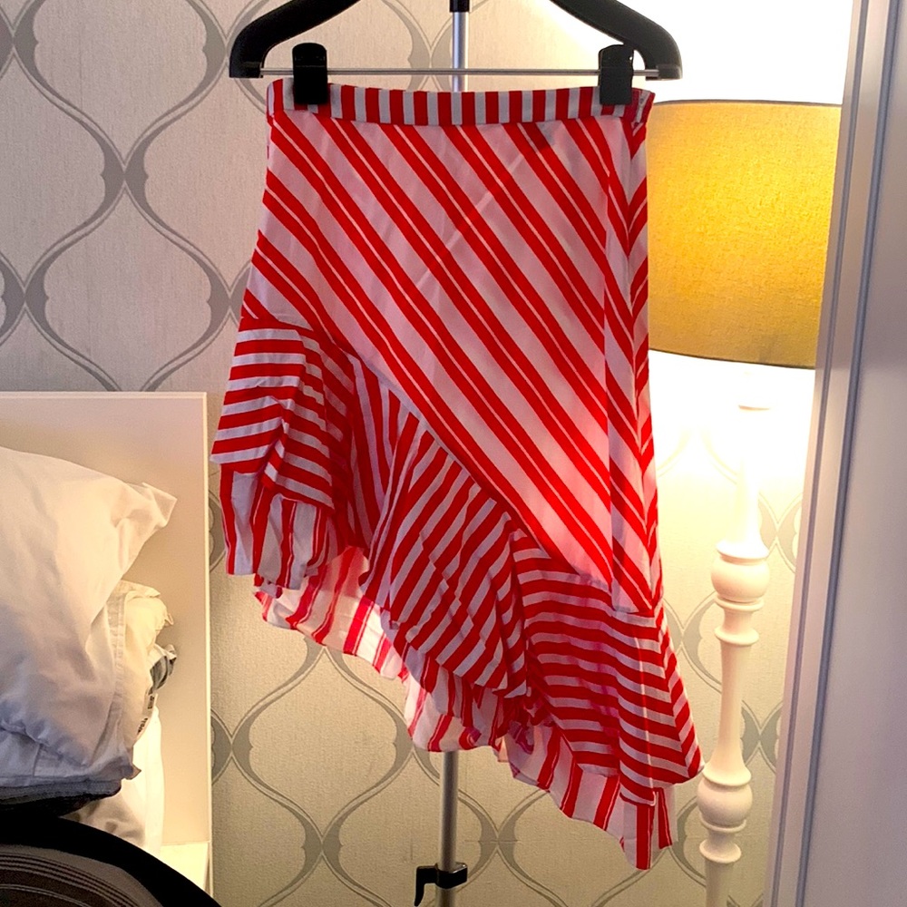 Zara ruffle skirt